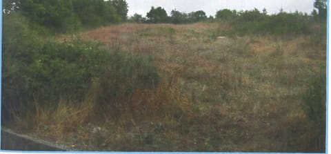 Photo of the lot 9