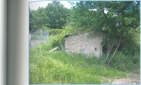 Photo: Altra categoria in Abriola (PZ)
