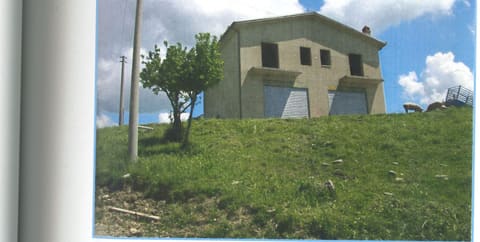 Photo of the lot 2