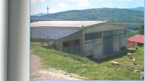 Photo of the lot 5