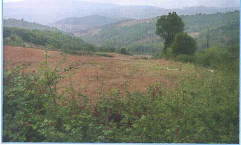 Photo of the lot 6