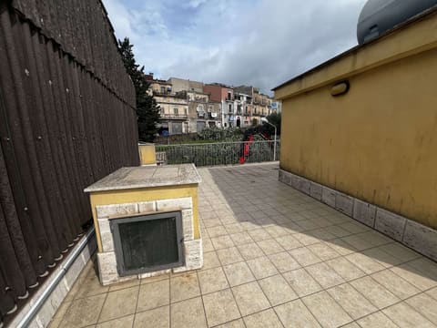 Photo of the lot 3