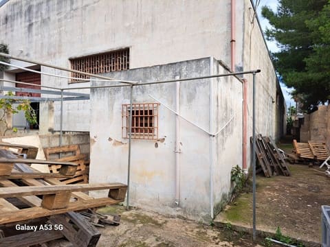 Photo of the lot 2