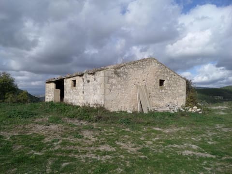 Foto del lotto 1