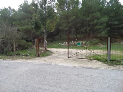 Foto del lotto 2