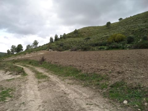 Foto del lotto 7