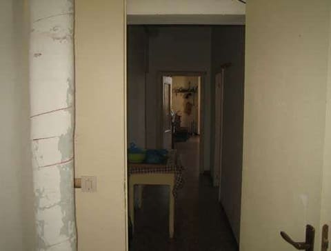 Photo of the lot 5