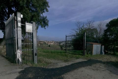 Photo of the lot 2