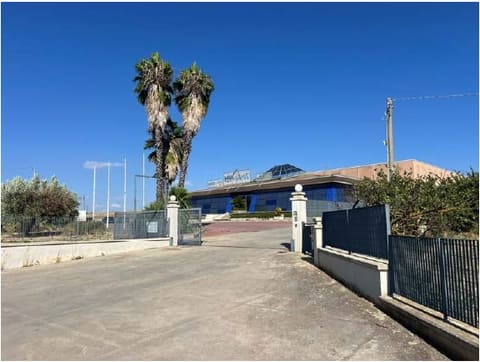 Photo of the lot 2