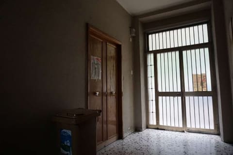 Photo of the lot 3