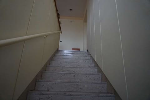 Photo of the lot 9