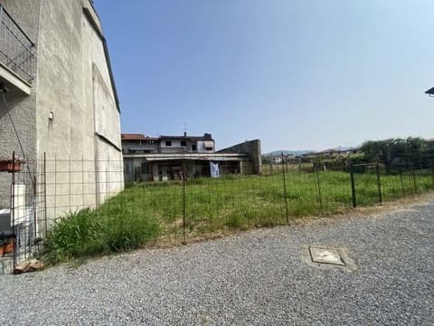 Photo of the lot 4