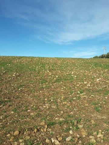 Photo: Altra categoria in Venosa (PZ)