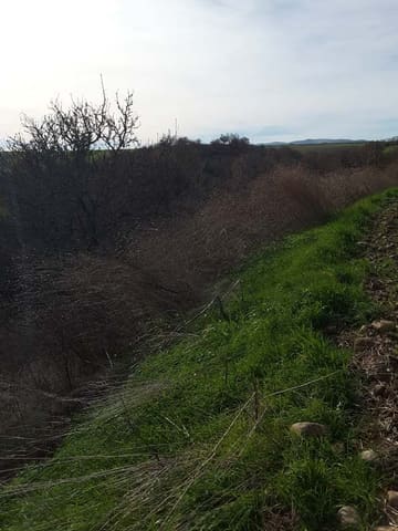 Photo of the lot 3