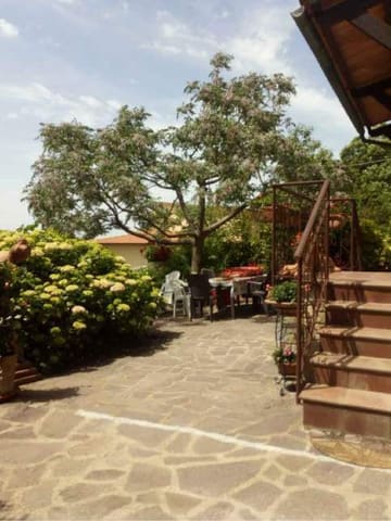 Photo of the lot 7