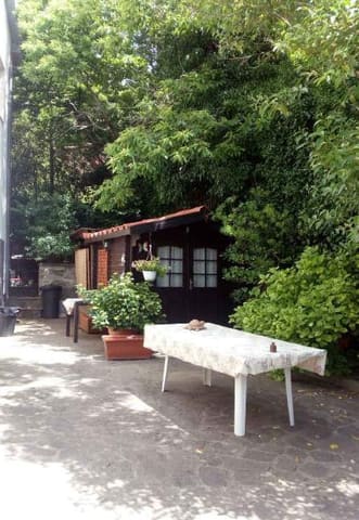 Photo of the lot 9