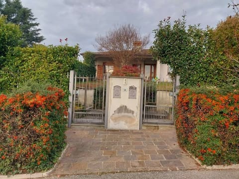 Photo of the lot 2