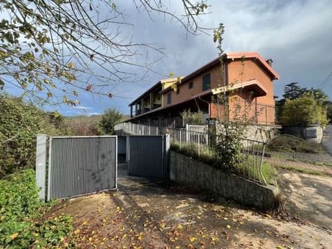Photo of the lot 2