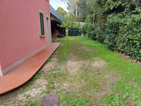 Photo of the lot 4