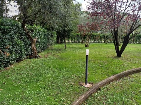 Photo of the lot 5