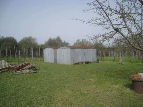 Foto del lotto 3