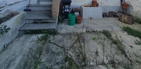 Photo of the lot 1