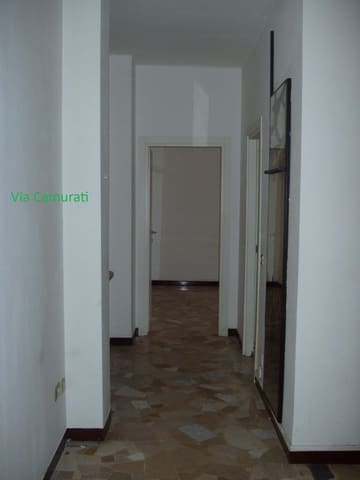 Photo of the lot 3