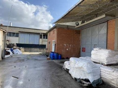 Photo of the lot 6