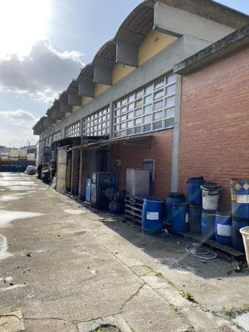 Photo of the lot 8