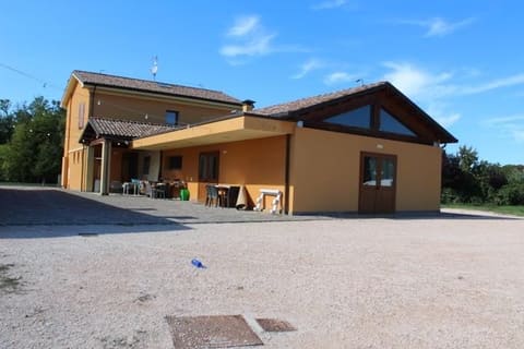 Photo of the lot 4