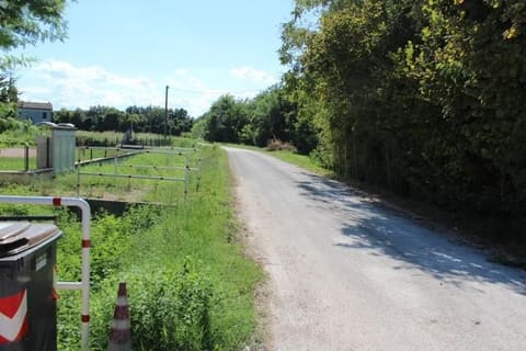 Photo of the lot 6