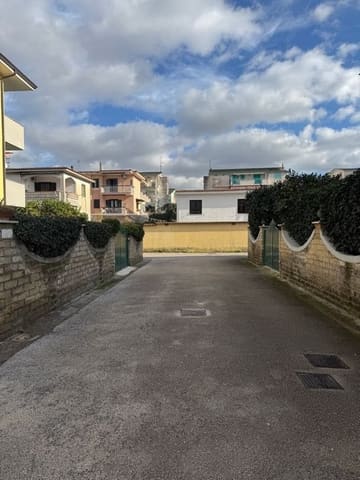 Photo of the lot 3