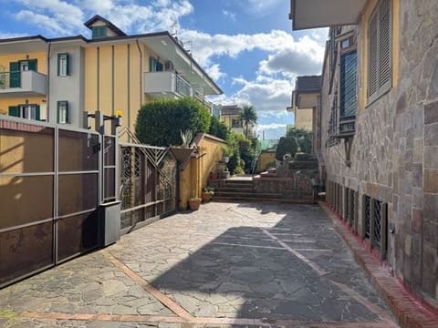 Photo of the lot 4