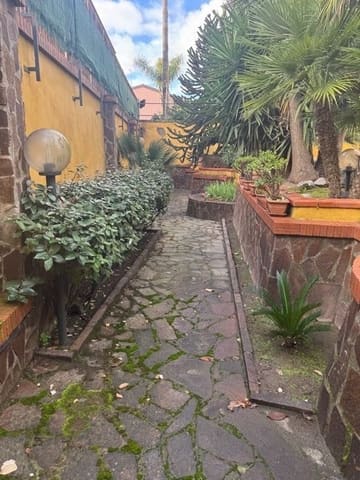 Photo of the lot 9