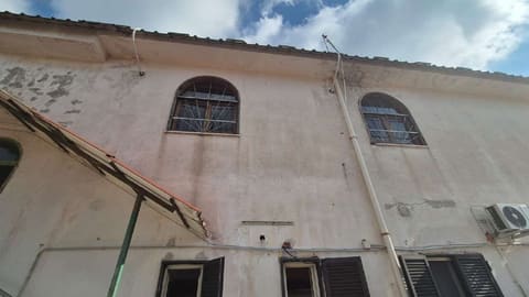 Photo of the lot 2