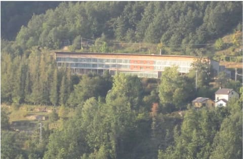 Photo of the lot 2