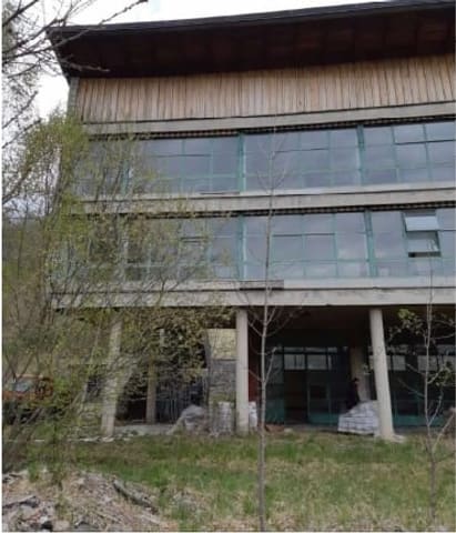 Photo of the lot 3