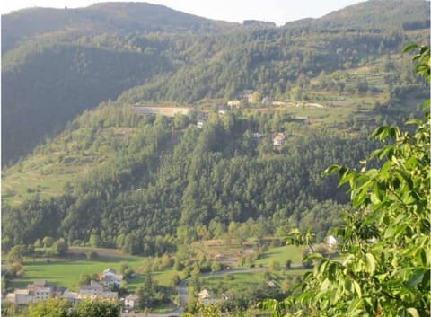 Photo of the lot 6