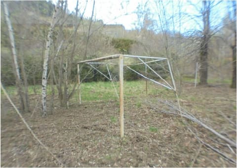 Photo of the lot 7