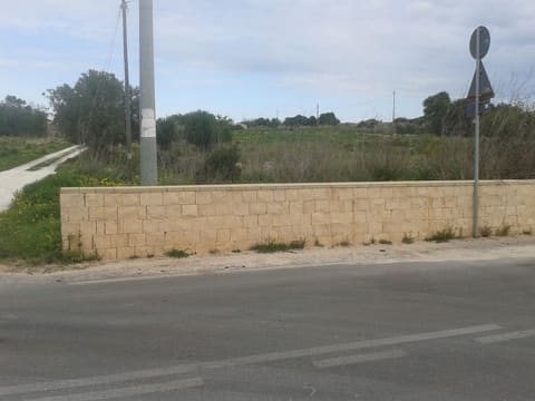 Photo of the lot 1
