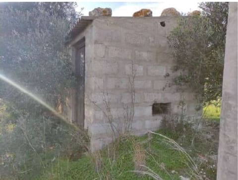 Photo of the lot 3