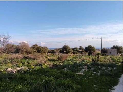 Photo of the lot 5