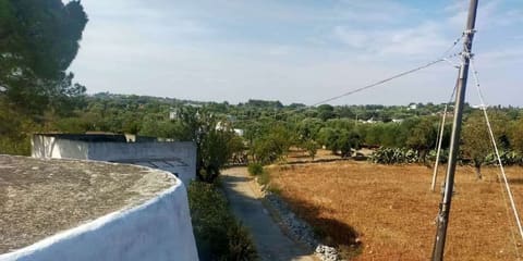 Photo of the lot 2