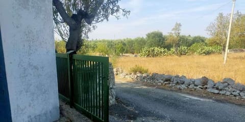 Photo of the lot 4