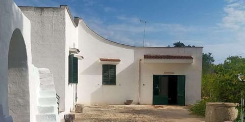 Photo of the lot 5