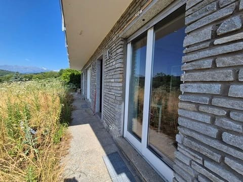 Photo of the lot 2