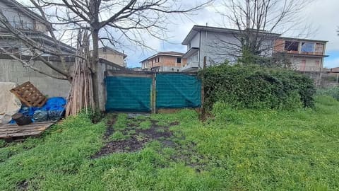 Photo of the lot 2