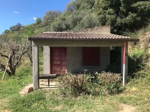 Photo: Altra categoria in Venosa (PZ)