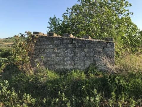 Photo of the lot 4