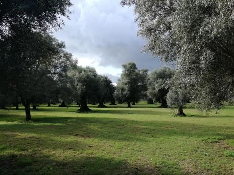 Photo: Altra categoria in Gioia Tauro (RC)